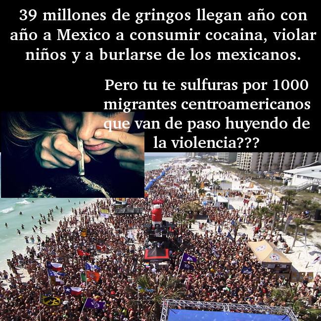 39 millones de gringos llegan año con año a Mexico a consumir cocaina, violar niños y a burlarse de los mexicanos.