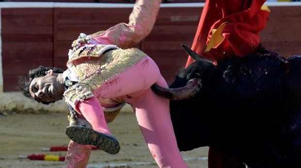 El momento en que el toro logra salvar su vida destrozandole el culo al torero