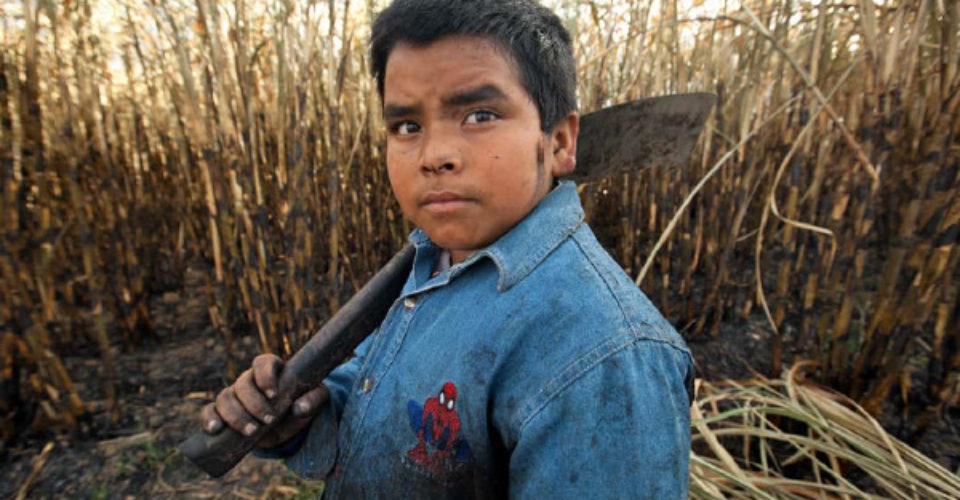 Niño esclavo trabajando en el campo de Mexico