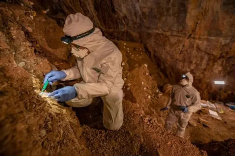 Los investigadores tomaron muestras de sedimentos en la cueva para analizar restos de ADN