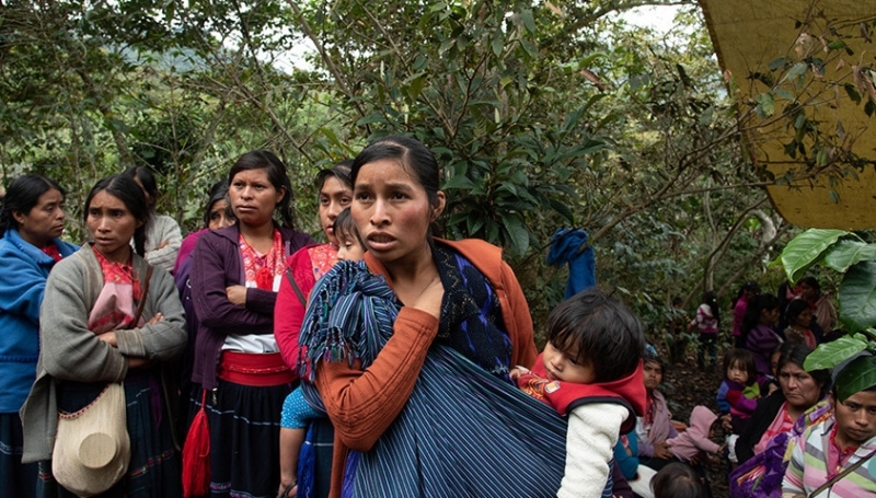 Denuncian más de 50 desaparecidos tras ataque a balazos en Amatán, Chiapas 