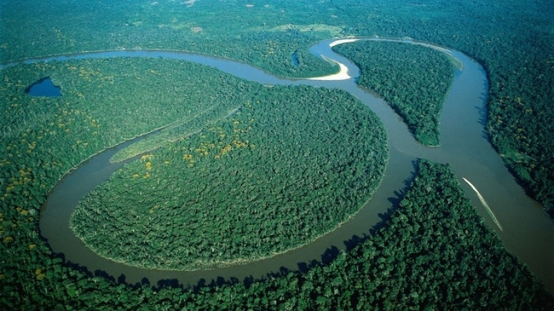 Ambientalistas advierten peligro para la Amazonia si la ultraderecha llega al poder