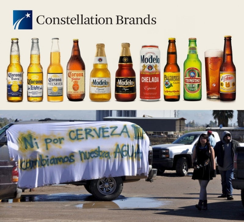 Cerveza Corona rechaza someter a consulta su construcción en BC