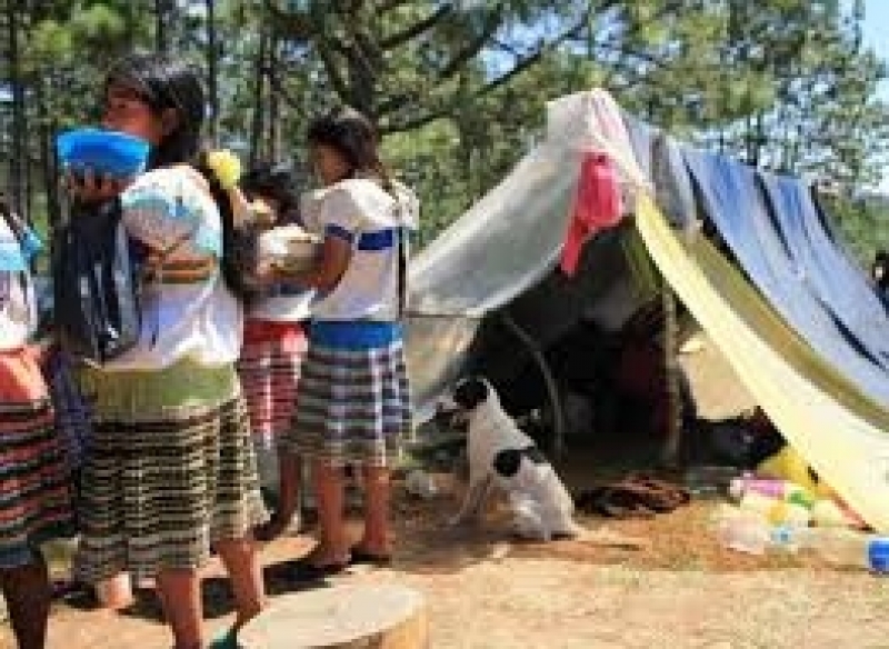 5000 indigenas desplazados por conflicto territorial