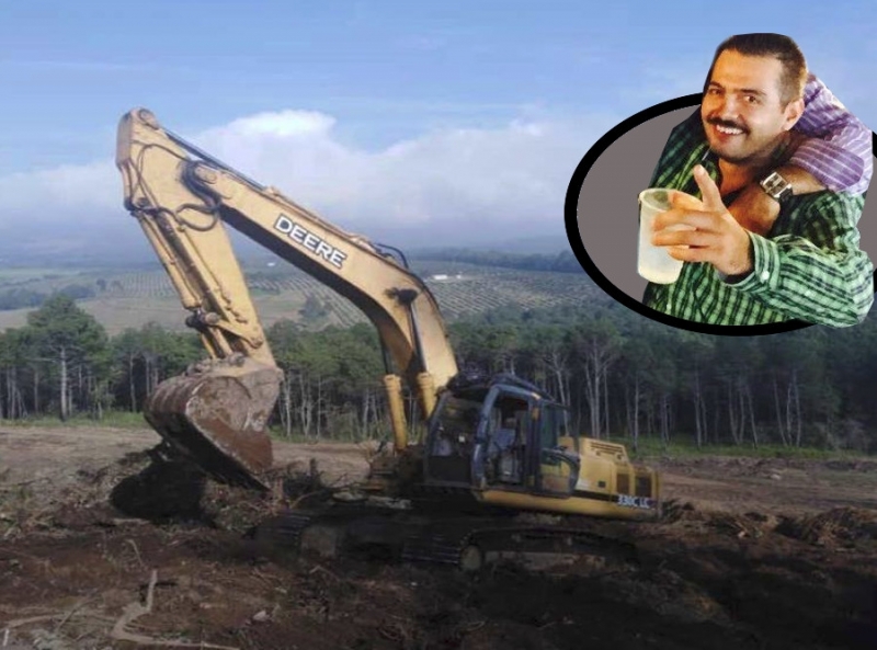 Denuncian a Miguel Anguiano por tala de bosques, Carrion calla