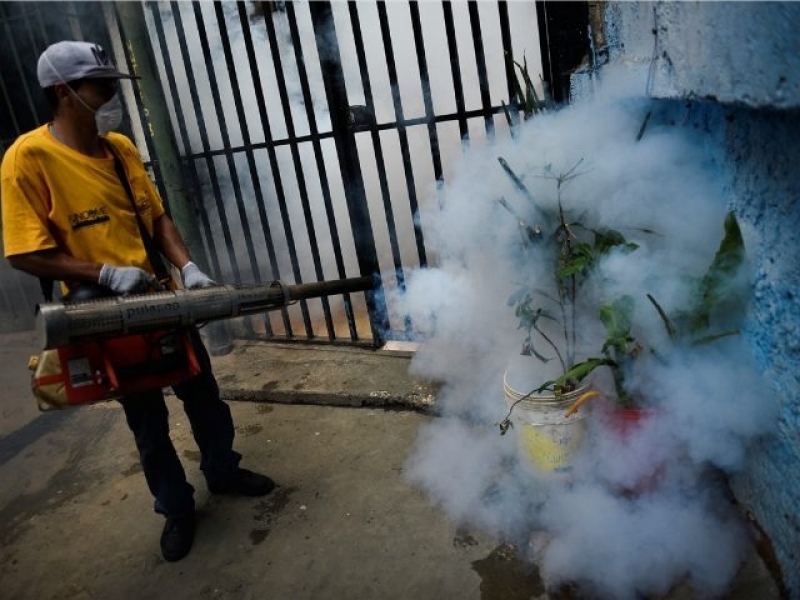 Los plaguicidas no son la mejor manera de combatir a los mosquitos portadores de Zika