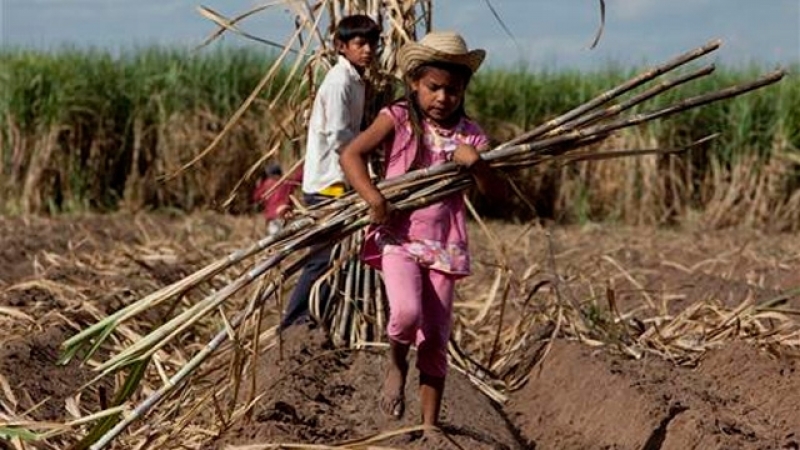 En México, los jornaleros agrícolas son víctimas de la tienda de raya y otras injusticias: RNJA