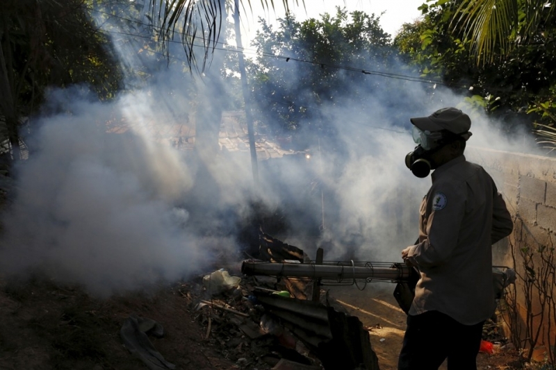 Los plaguicidas no son la mejor manera de combatir a los mosquitos portadores de Zika