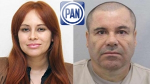 Narcodiputada del PAN confirma complicidad en tráfico con el Chapo