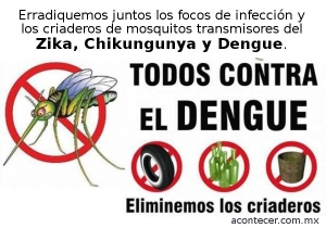 Comienza campaña de descharratizacion para combatir el Zika, Chikungunya y Dengue