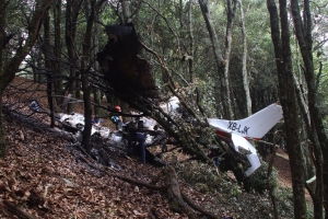 Cae avioneta que venia de Manzanillo, to hubo sobrevivientes