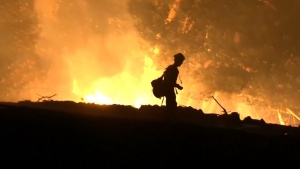 Incendios forestales arrazan con California, 42 muertos