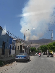 Incontrolable incendio devora cerros de Sayula