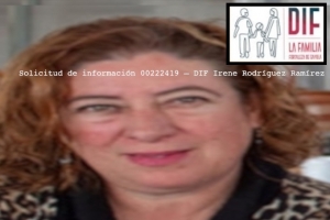 Solicitud de información 00222419 – DIF Irene Rodríguez Ramírez