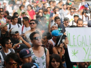 Se manifiestan en Guadalajara en favor de legalizar la marihuana