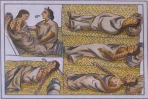 En el Códice Florentino se documentaron los efectos de la viruela sobre la población que arrasó con más de la mitad de indígenas con la llegada de los españole