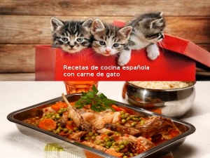Recetas culinarias españolas con carne de gato