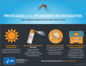Como prevenir picaduras de mosquito